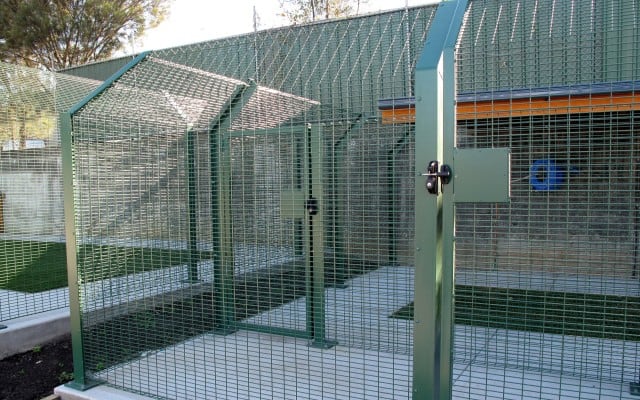 protective_fencing_promax_mesh_RSPCA_6