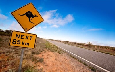 Kangaroo Fence Design – Take A Leap Forward