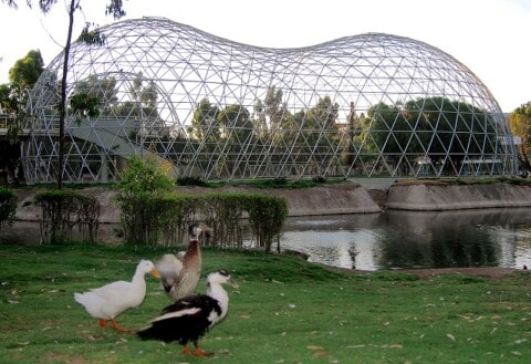 Aviary Wire Mesh Products For Custom Made Bird Aviaries