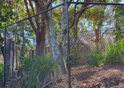 Chainwire fencing with top and bottom rails