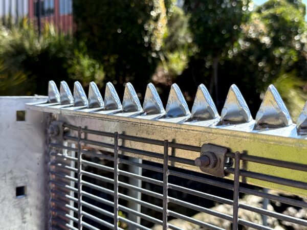 Razorback Spiked Fence Rail From Rear View