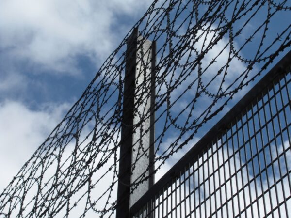 Flat loop razor wire layered with barbed wire rows on fence
